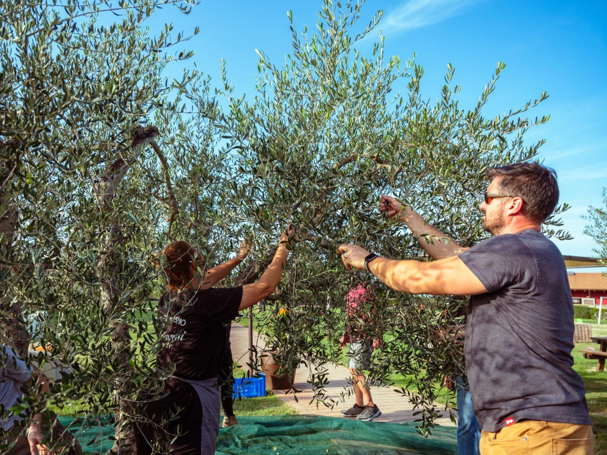 Agriturismo Biologico Diacceroni Villamagna  Bagian luar foto