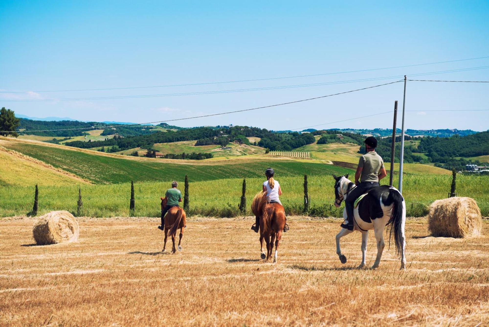 Agriturismo Biologico Diacceroni Villamagna  Bagian luar foto