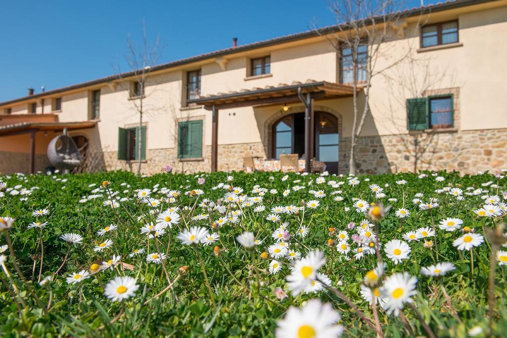 Agriturismo Biologico Diacceroni Villamagna  Bagian luar foto